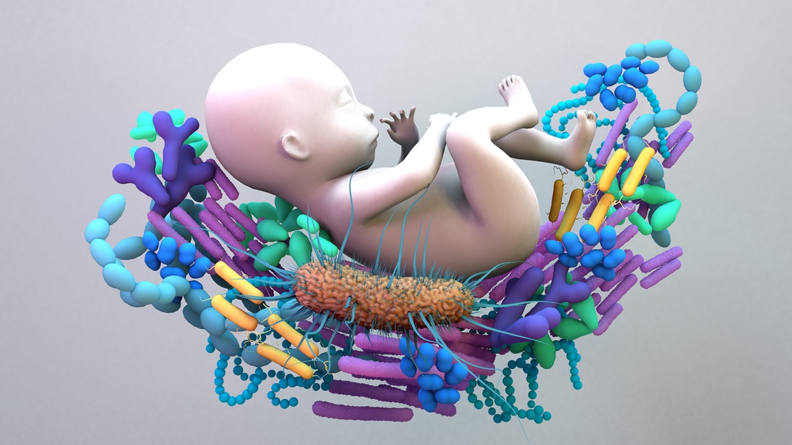 The Infant Microbiome